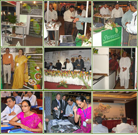 Photo Gallery