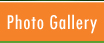 Photo Gallery
