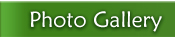 Photo Gallery